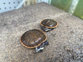 PINK BELLY SIDE-NECK TURTLE