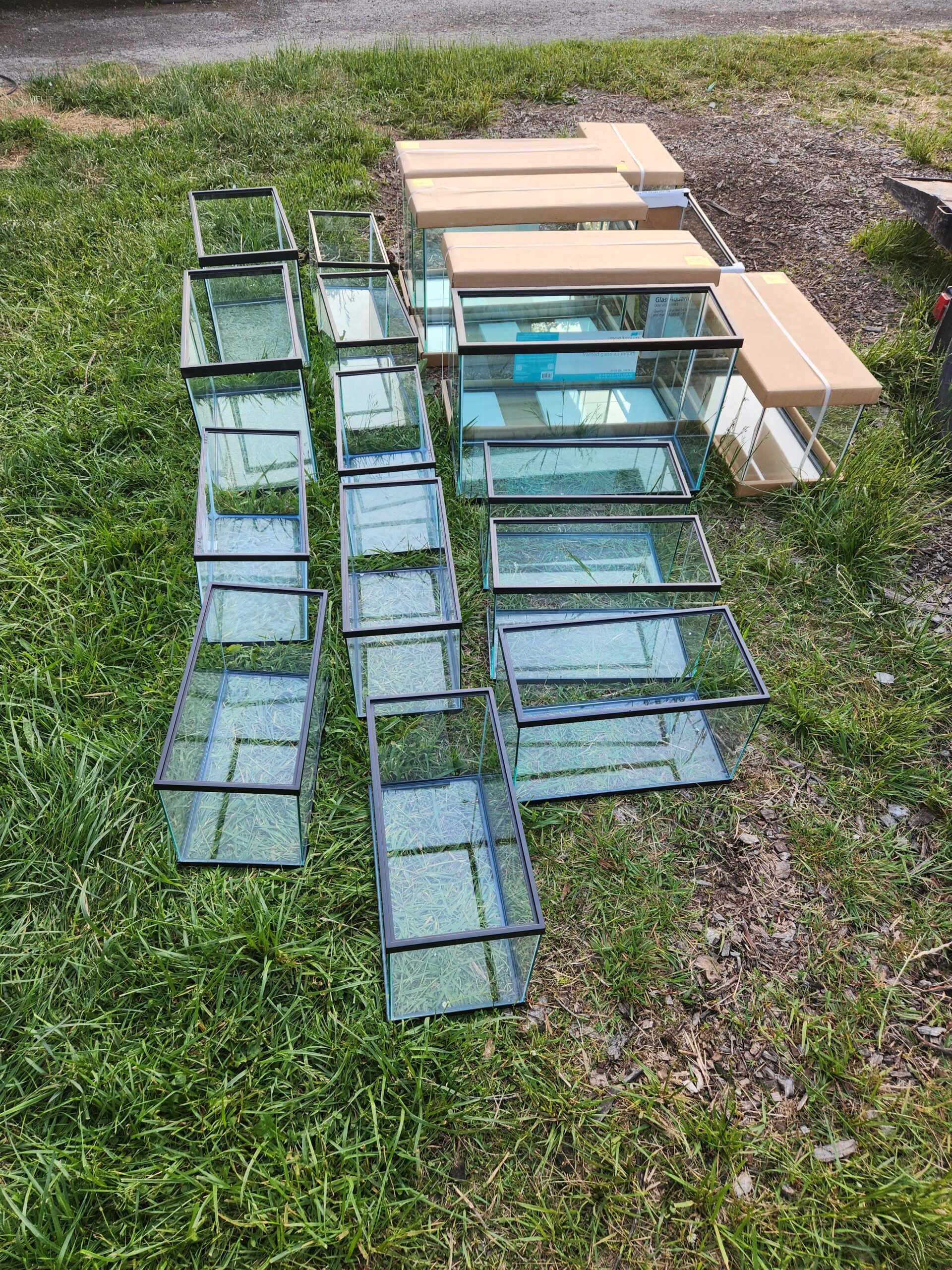 Glass tanks - Image 1